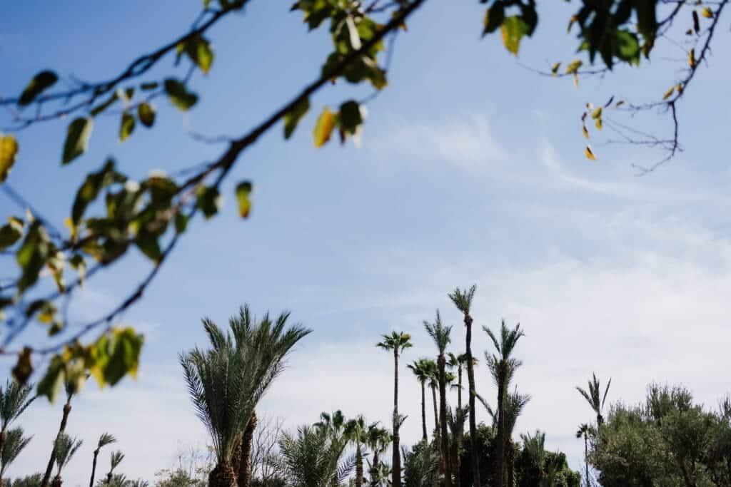 Marrakesh Palais Namaskar Elopement 16 scaled