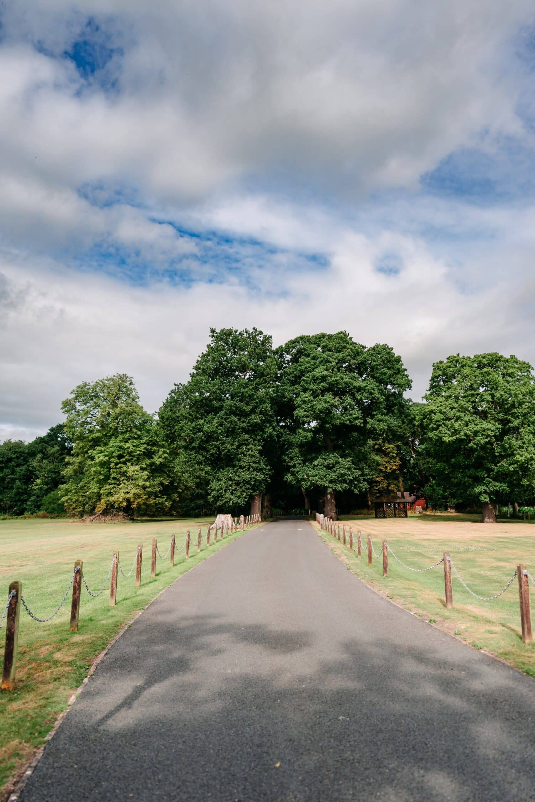 Tree-lined driveway leading to Rookery Hall